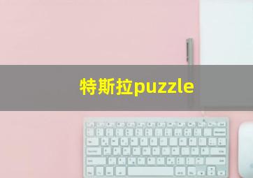 特斯拉puzzle