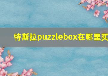 特斯拉puzzlebox在哪里买