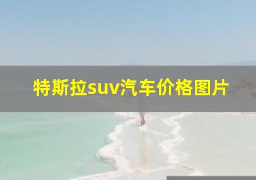 特斯拉suv汽车价格图片