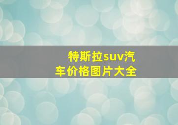 特斯拉suv汽车价格图片大全