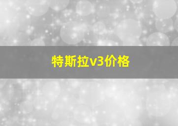 特斯拉v3价格