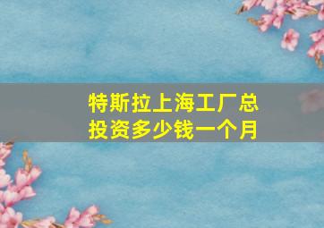 特斯拉上海工厂总投资多少钱一个月