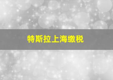 特斯拉上海缴税