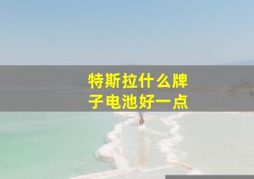 特斯拉什么牌子电池好一点