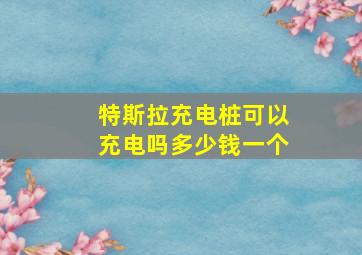 特斯拉充电桩可以充电吗多少钱一个