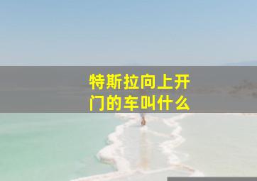 特斯拉向上开门的车叫什么