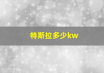 特斯拉多少kw