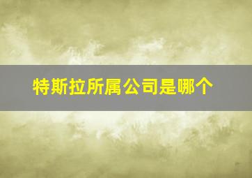 特斯拉所属公司是哪个