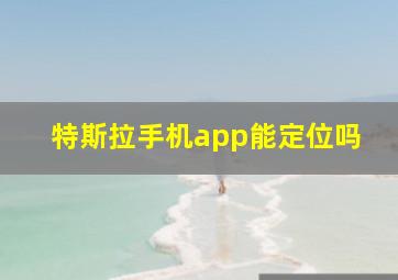 特斯拉手机app能定位吗