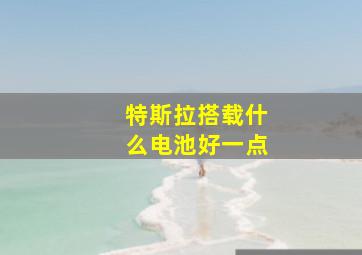 特斯拉搭载什么电池好一点