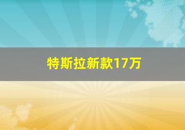 特斯拉新款17万