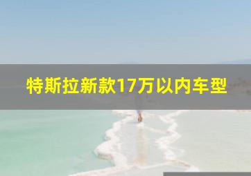 特斯拉新款17万以内车型