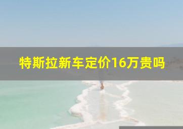 特斯拉新车定价16万贵吗