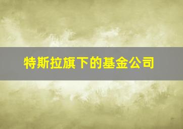 特斯拉旗下的基金公司