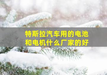 特斯拉汽车用的电池和电机什么厂家的好