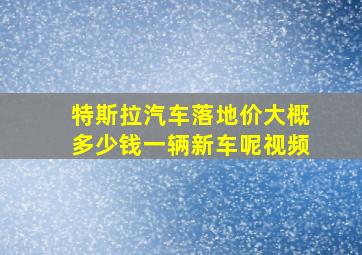 特斯拉汽车落地价大概多少钱一辆新车呢视频