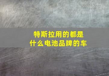 特斯拉用的都是什么电池品牌的车