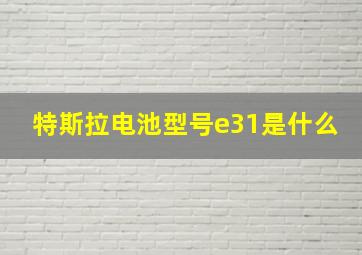 特斯拉电池型号e31是什么