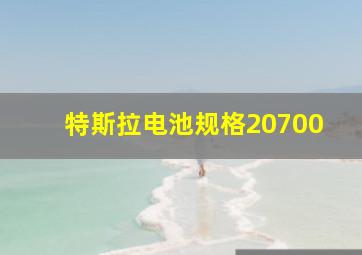 特斯拉电池规格20700