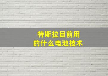 特斯拉目前用的什么电池技术