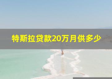 特斯拉贷款20万月供多少