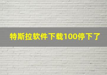 特斯拉软件下载100停下了