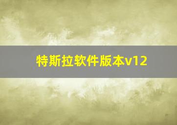 特斯拉软件版本v12