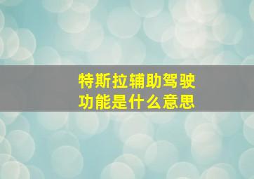 特斯拉辅助驾驶功能是什么意思