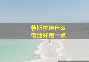 特斯拉选什么电池好用一点