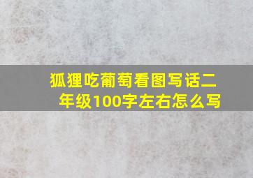 狐狸吃葡萄看图写话二年级100字左右怎么写