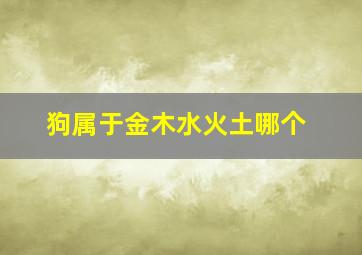 狗属于金木水火土哪个