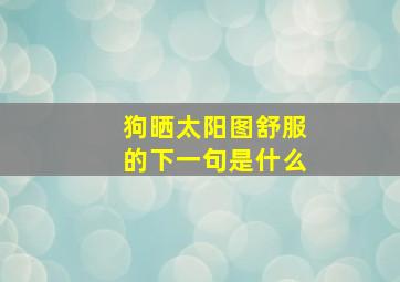 狗晒太阳图舒服的下一句是什么