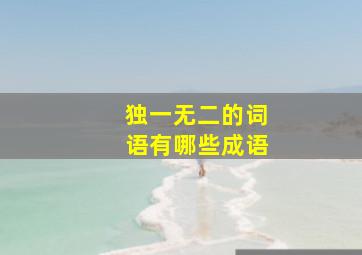 独一无二的词语有哪些成语