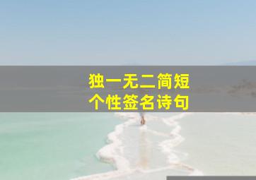 独一无二简短个性签名诗句