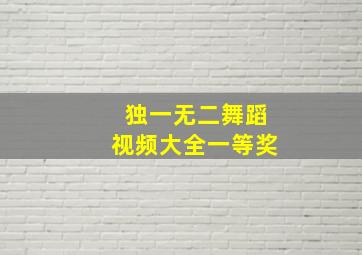 独一无二舞蹈视频大全一等奖