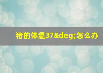 猪的体温37°怎么办