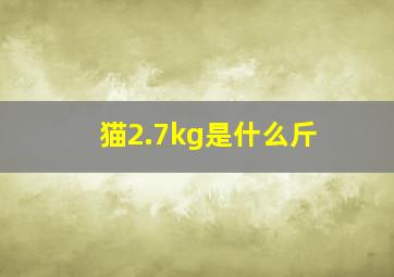 猫2.7kg是什么斤