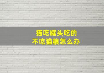 猫吃罐头吃的不吃猫粮怎么办