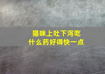 猫咪上吐下泻吃什么药好得快一点