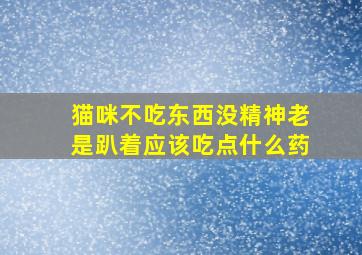 猫咪不吃东西没精神老是趴着应该吃点什么药