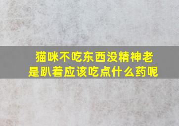 猫咪不吃东西没精神老是趴着应该吃点什么药呢