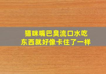 猫咪嘴巴臭流口水吃东西就好像卡住了一样