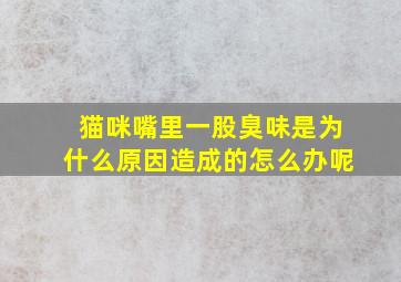 猫咪嘴里一股臭味是为什么原因造成的怎么办呢