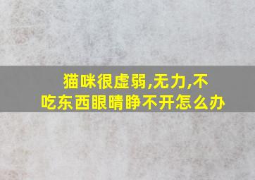 猫咪很虚弱,无力,不吃东西眼晴睁不开怎么办