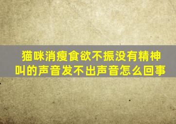 猫咪消瘦食欲不振没有精神叫的声音发不出声音怎么回事