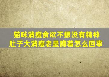 猫咪消瘦食欲不振没有精神肚子大消瘦老是蹲着怎么回事