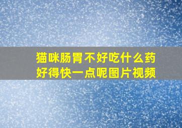 猫咪肠胃不好吃什么药好得快一点呢图片视频