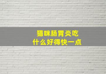 猫咪肠胃炎吃什么好得快一点