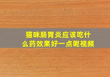 猫咪肠胃炎应该吃什么药效果好一点呢视频