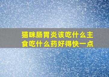 猫咪肠胃炎该吃什么主食吃什么药好得快一点